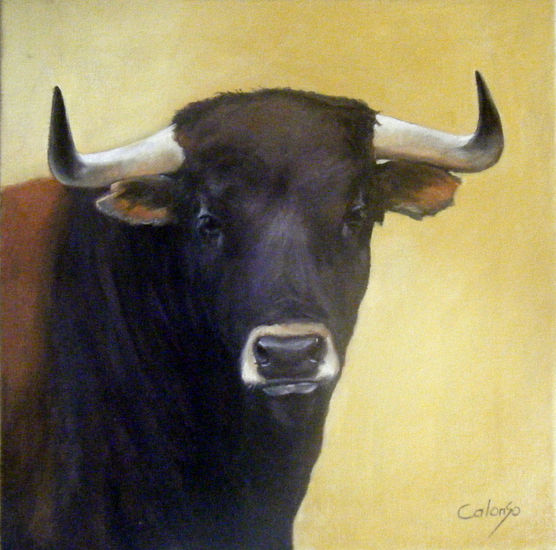 cabeza de toro Oil Canvas Animals