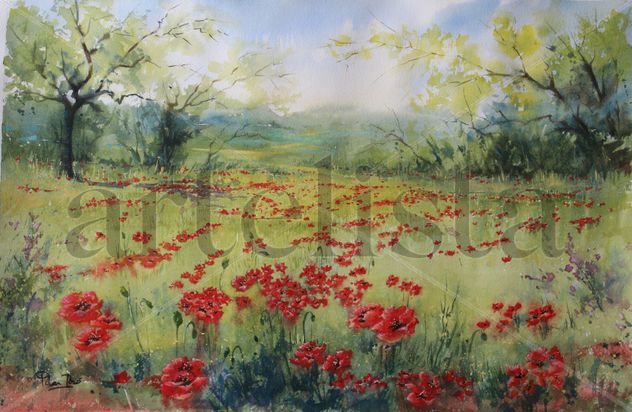 Campo de amapolas