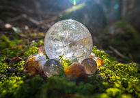 Forest Crystal