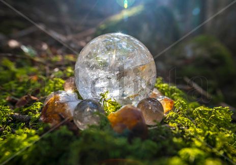 Forest Crystal