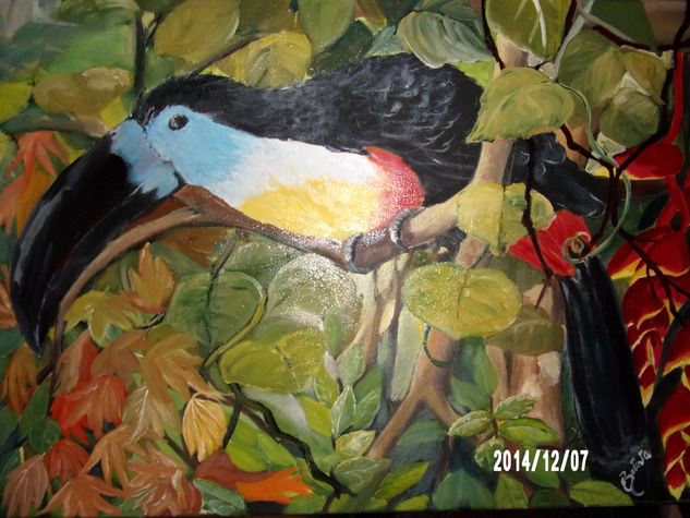 El Tucán Oil Canvas Animals