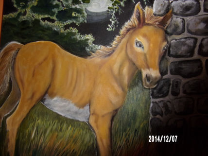 Potrillo solitario