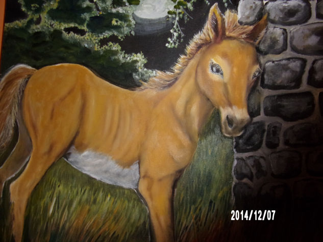 Potrillo solitario Oil Canvas Animals