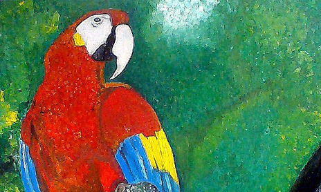 serie de animales