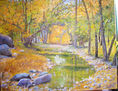 OTOÑO EN EL BOSQUE