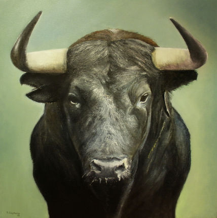 Toro bravo