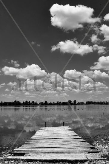 Camino al cielo Naturaleza Blanco y Negro (Digital)