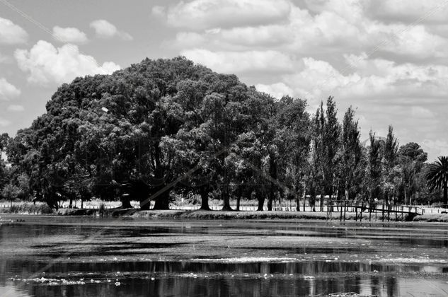 Aire Naturaleza Blanco y Negro (Digital)