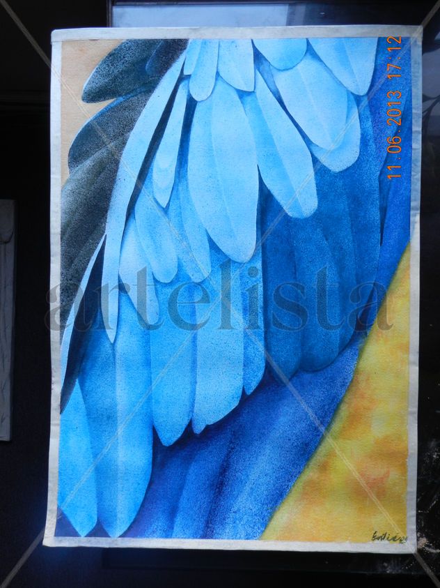 arara azul