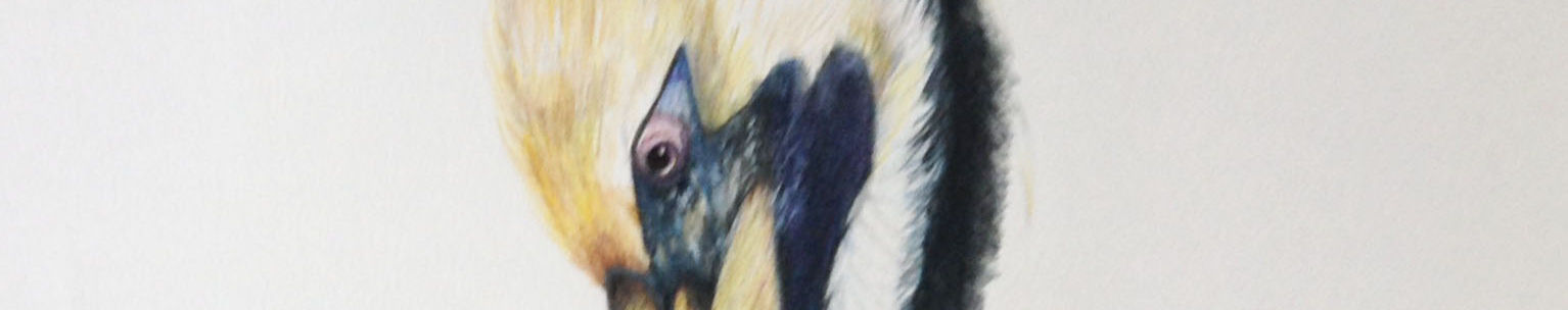 Imagen de portada