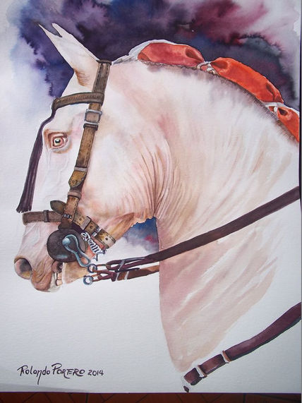 Caballo rejoneador