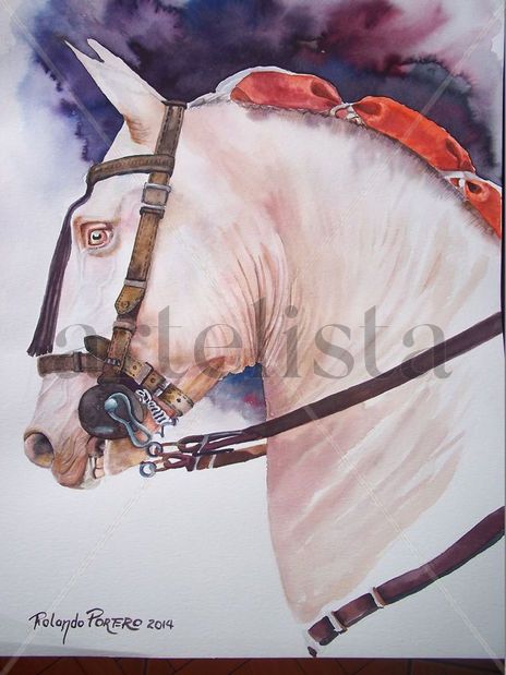 Caballo rejoneador