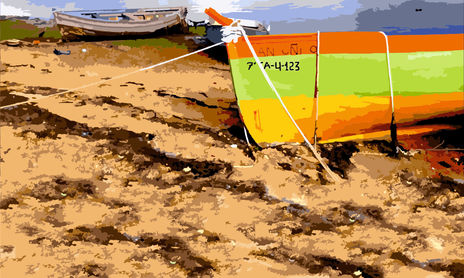 Barcas