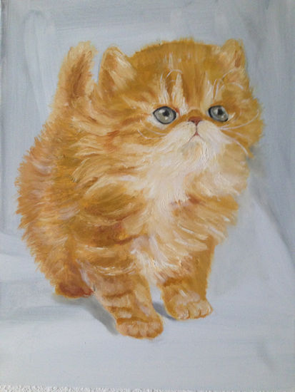 Gatito 4 Oil Canvas Animals