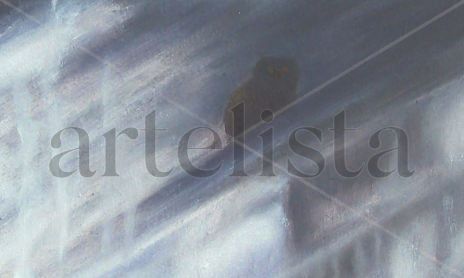 sombras