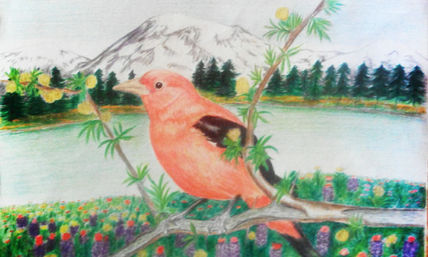 Pajarito de color rojo