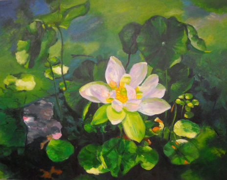 Nenufar blanco