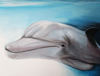 Delfin