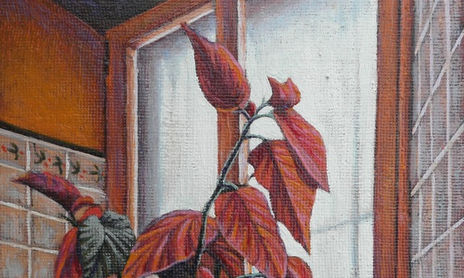 INTERIORES