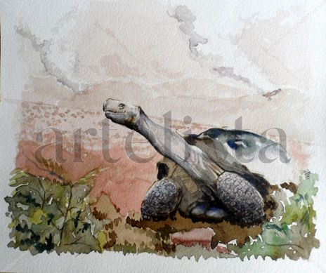 Tortuga de galápagos