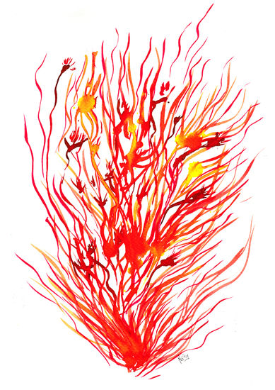 Rojo.(de la serie Colores Primarios Enfadados) Watercolour Paper Others