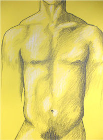 Torso