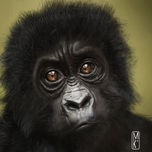 Animales thumbnail 1