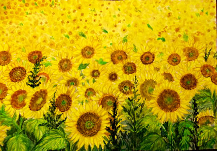 Girasoles