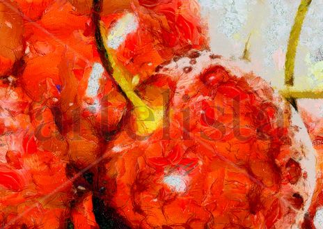 Cerezas rojas