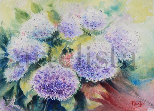 Hortensias