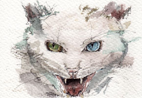 Gato 1