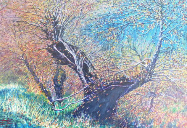 "Arbol en otoño".