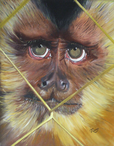 Culpable Oil Canvas Animals