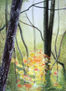 Bosque