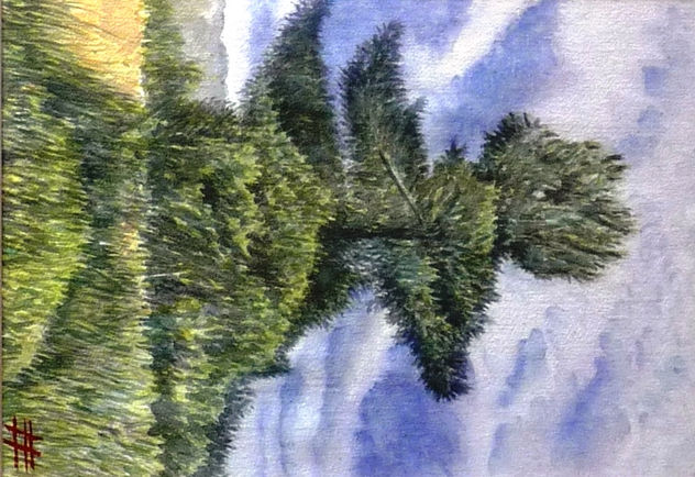 "Arbol entre el cielo y la tierra"