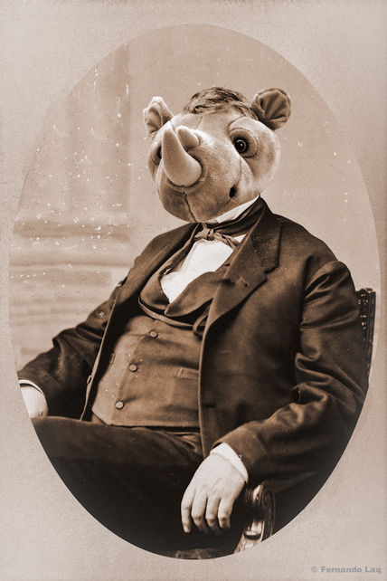 Don Rino