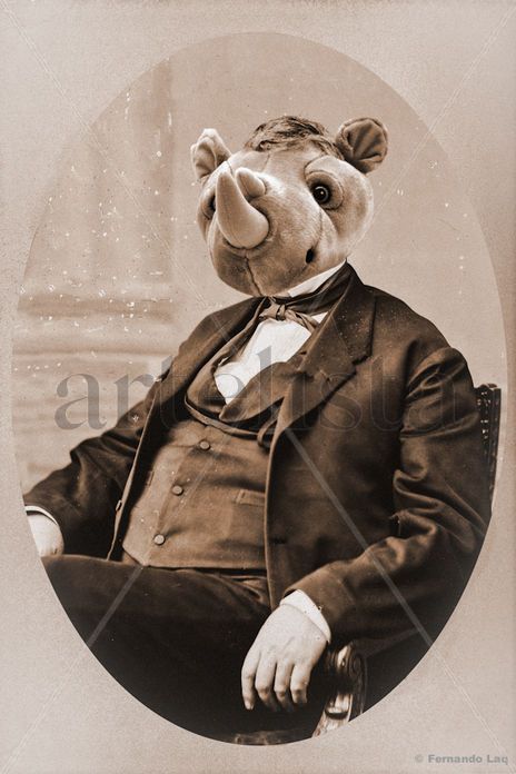 Don Rino