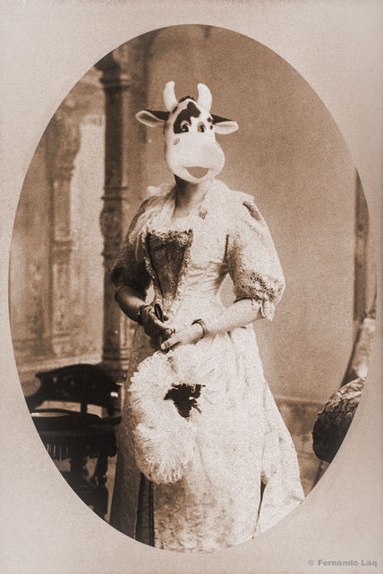 Lady Cow