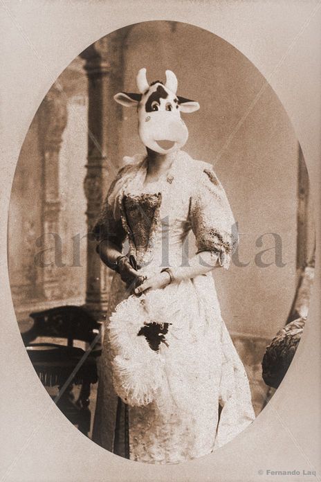 Lady Cow