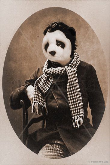 Lord Panda Papel Retrato