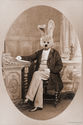 Lord Rabbit