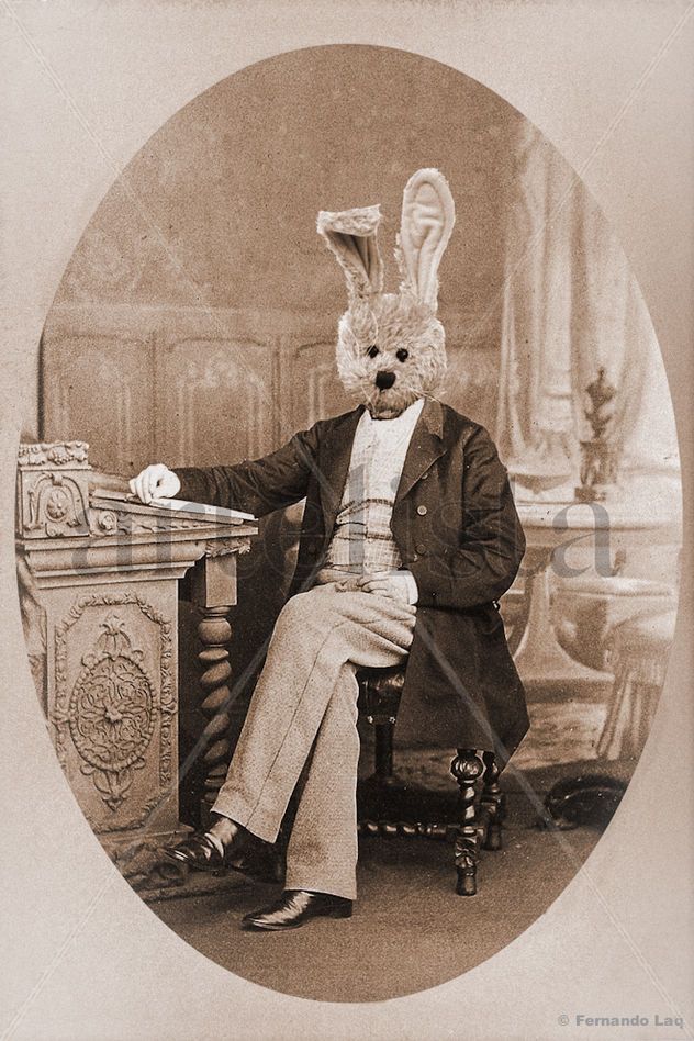 Lord Rabbit