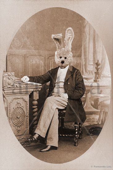 Lord Rabbit Papel Retrato