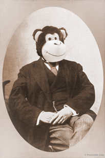 Monsieur Singe