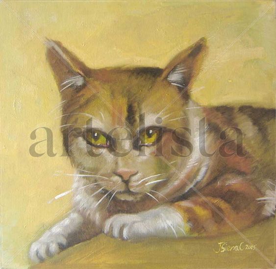 Gato Oil Canvas Animals