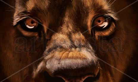 Animales