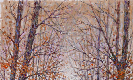 PAISAJE