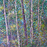 PAISAJE thumbnail 1