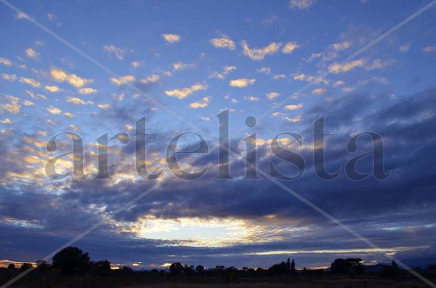 Luz y Sombras de la naturaleza