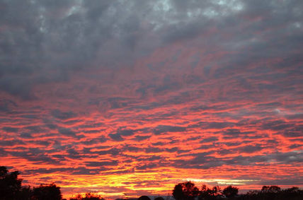 Atardecer